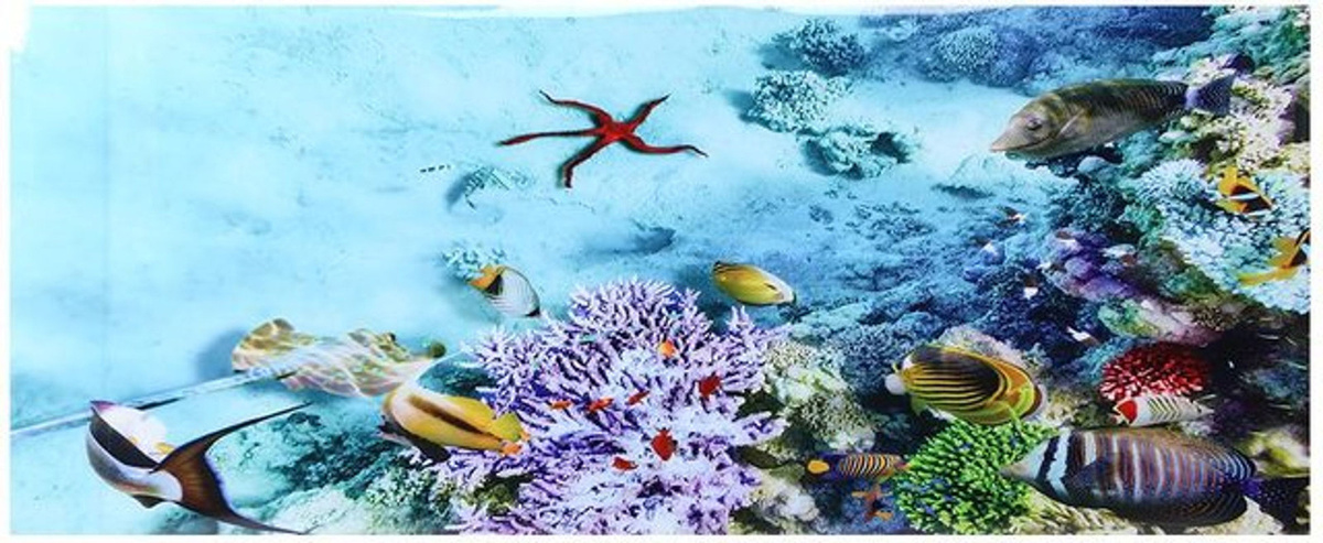 Dekorativer Aquariums-Hintergrund von Honor Electronics als PVC-Sticker mit Landschaftsmotiv, mehrfarbig, B: 61 cm - Bild 1