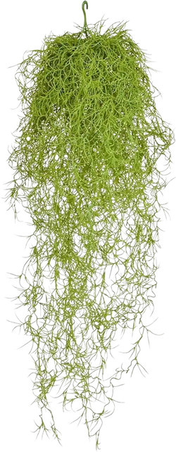 Künstliche Tillandsia Erwin von Aplanta, Sukkulente zum Aufhängen, Höhe: 75 cm - Bild 1