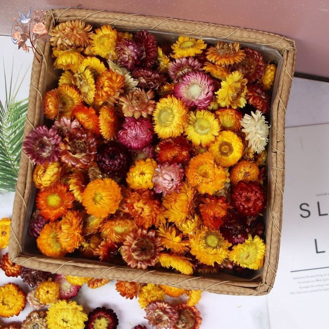 100 Stück getrocknete Blumenmischung aus Gänseblümchen, Sonnenblumen und Chrysanthemen in Mehrfarbig für DIY-Handwerk und Tischdekoration - Bild 1