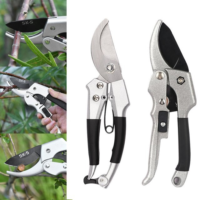 TQSDYY Gartenschere mit Amboss für Gartenbau und Obstbeschneidung, Silber, Länge: 20 cm - Bild 1