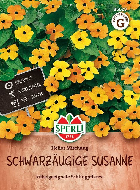 SPERLI Schwarzäugige Susannen-Samen Helios Mischung, gelb und orange - Bild 1