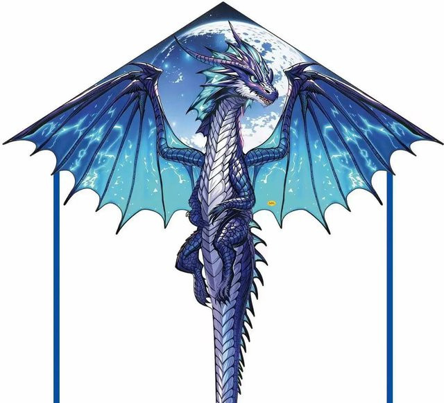 Pterosaurier-Drachen, Outdoor-Spielzeug, ab 14 Jahre - Bild 1