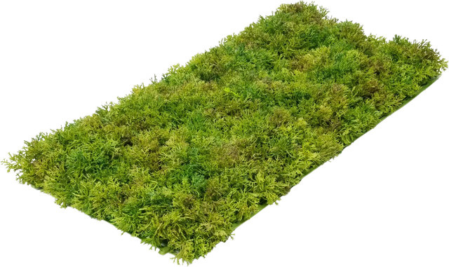 Künstliche Moosmatte Aloisia von Aplanta in Grün, Breite: 25 cm, Länge: 50 cm - Bild 1
