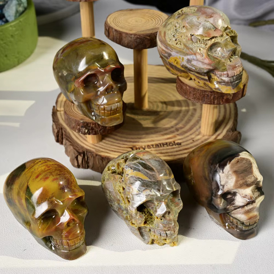 Totenkopf aus versteinertem Holz von CrystalHola in Multicolour im Boho-Stil - Bild 2