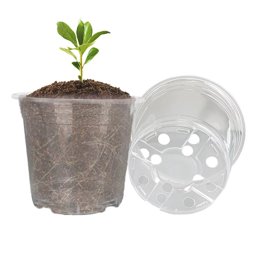 5er Set transparente runde Pflanztöpfe aus Kunststoff für Orchideen und Sämlinge von Adhere To Fly, Durchmesser: 6 cm, 7,6 cm, 10 cm, 13 cm und 15 cm - Bild 2