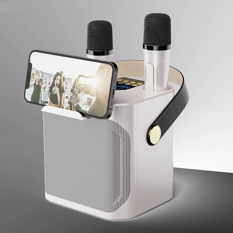 Tragbarer AyeBeau Karaoke Bluetooth Lautsprecher mit Mikrofon und Subwoofer in Weiß - Bild 2