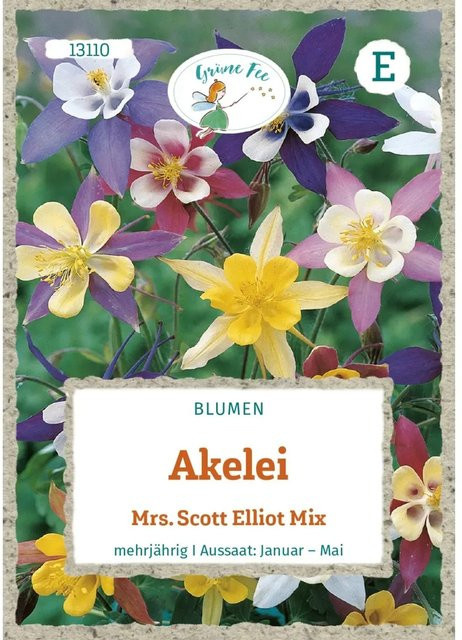 Grüne Fee Akelei Mrs. Scott Elliot Mix Saatgut für Beete und Töpfe - Bild 1