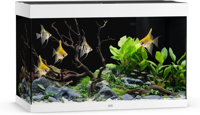 Juwel Aquarium Rio 290 LED Weiß - Bild 1