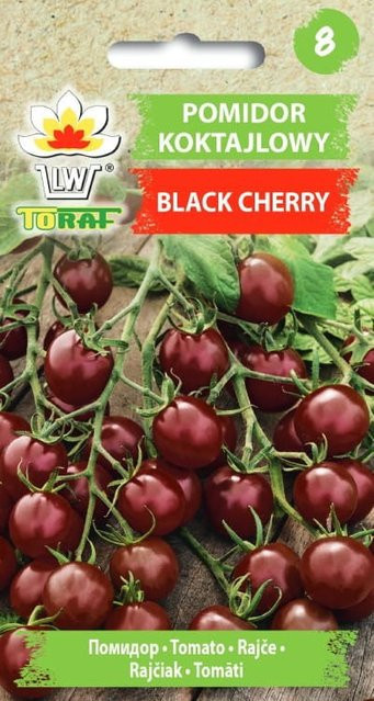 TORAF Schwarze Kirschtomate Gemüsetomaten-Samen 0,3 g - Bild 1