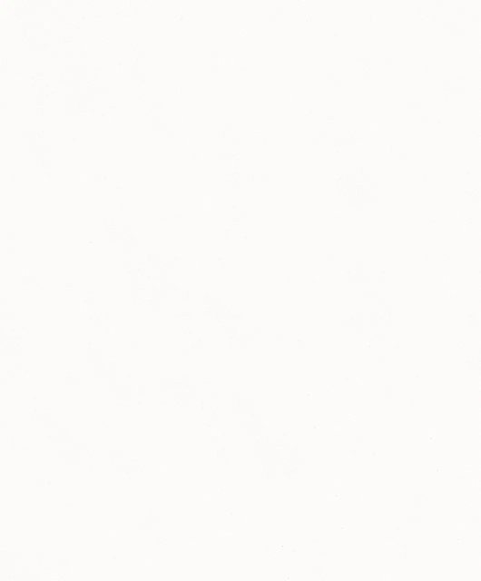 Schöner Wohnen Vliestapete Uni Weiß FSC-zertifiziert - Bild 1