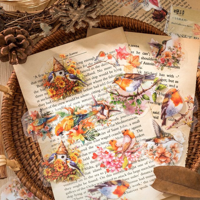 30 Stück Bird Collection Series PET Aufkleber in Multicolour für DIY Scrapbooking und Junk Journal - Bild 1