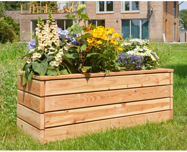 Kiehn-Holz Massiv-Pflanzkasten aus Lärche Unbehandelt, Farbe: Beige, B/T/H: 115 x 40 x 43 cm - Bild 1