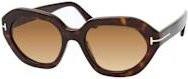 Tom Ford FT 1341 Sonnenbrille, Quadratisch, Vollrand, Braun, Damen - Bild 1