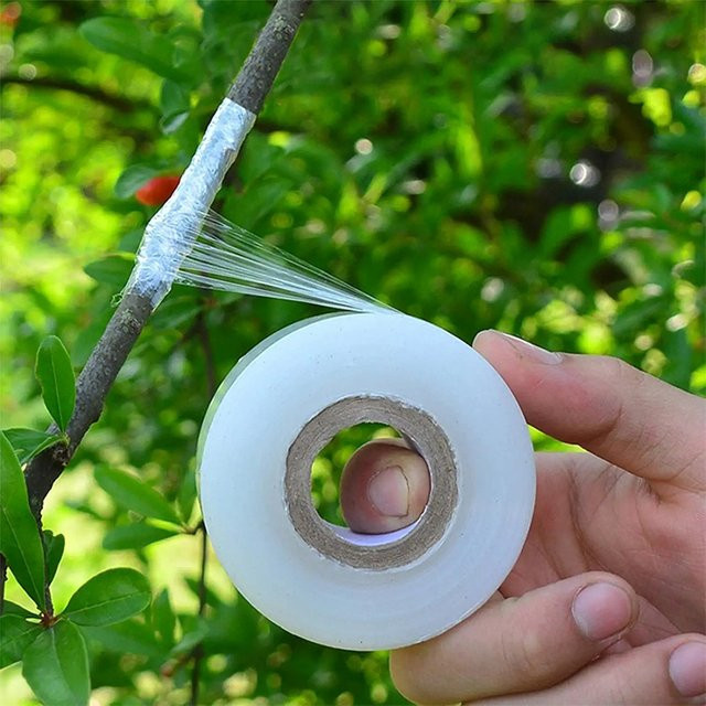 Selbstklebendes elastisches Pflanzenklebeband in Transparent für Gärten, Setzlinge und Pflanzen, Länge: 200 m - Bild 1