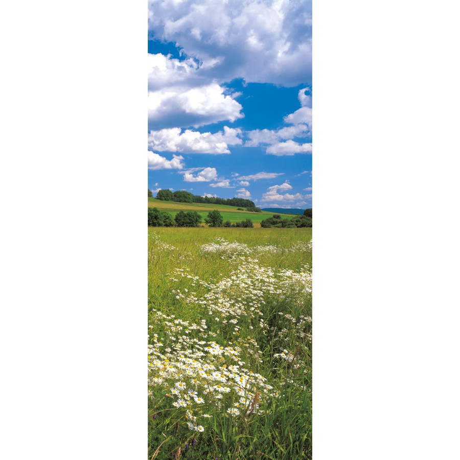 Komar Fototapete Vlies Meadow Multicolor B: 100 cm, H: 280 cm - Bild 2