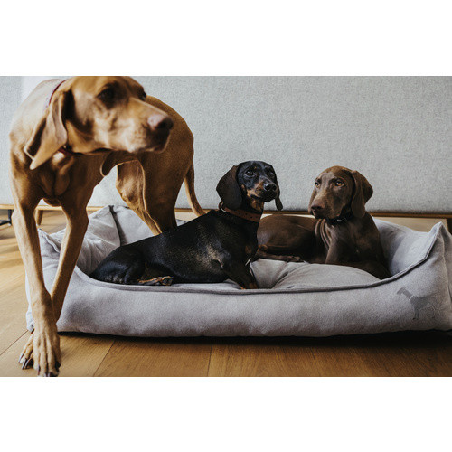HUNTER Hunde-Sofa in Grau mit Textilbezug, Breite: 60 cm, Höhe: 24 cm, Länge: 80 cm - Bild 4