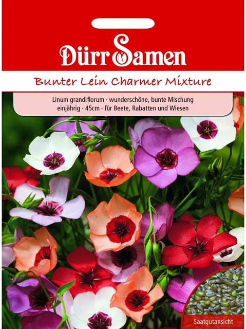 Dürr Samen Bunter Lein Charmer Mix Einjähriges Saatgut für Beete und Rabatten - Bild 1