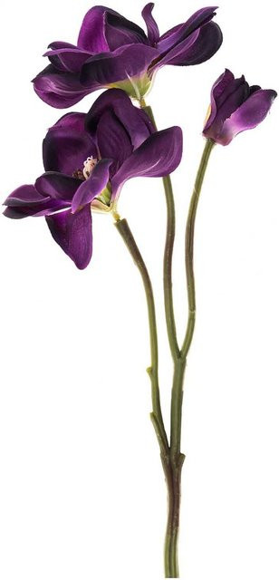idee. Creativmarkt Anemonenzweig violett, Höhe: 41 cm - Bild 1