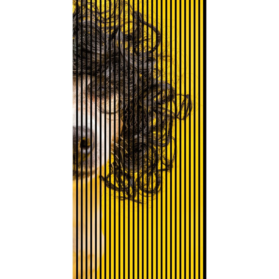 FN Acustico Akustikplatte Dog 2 in Bunt, foliert aus PET und MDF, H x B x T: 2.400 x 1.133 x 19 mm - Bild 2
