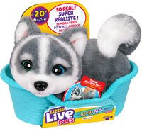 Little Live Pets My Really Real S2 Puppy Mini Aurora Husky Kuscheltier Welpe - Bild 1