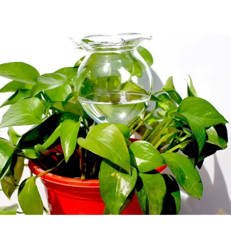 2er Set automatische Bewässerungskugeln aus mundgeblasenem Klarglas für Pflanzen, transparent, B/T/H: 8,0 x 8,0 x 25,4 cm - Bild 3