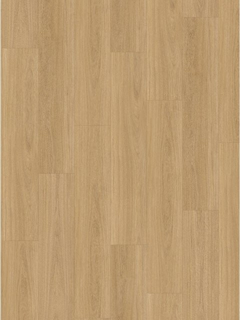 Parador Click-Vinylbodenmuster Basic 5.3 Eiche Elaris Natur in Braun - Bild 1