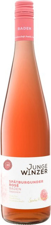 Junge Winzer Spätburgunder Rosé Baden QbA trocken Roséwein 0,75 l