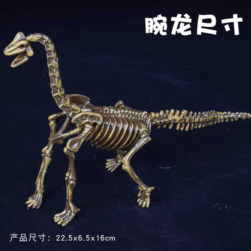Bandai Dinosaurier Triceratops Skelettmodell, Ausgrabungsspielzeug - Bild 2