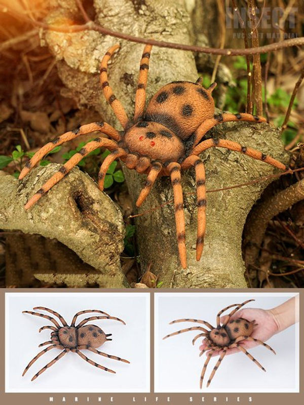 Realistische Insekten-Tierfiguren aus PVC für Kinder als pädagogisches Lernspielzeug mit Spinne, Heuschrecke, Skorpion und Ameise - Bild 1