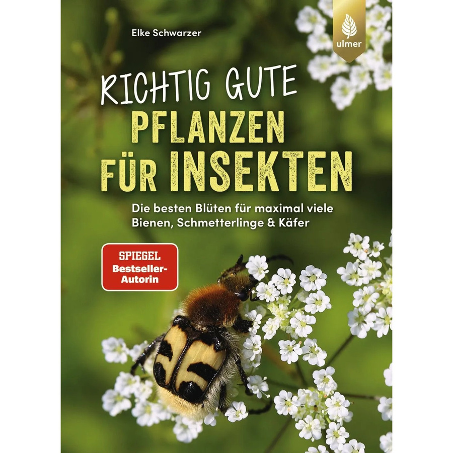 Insektenfreundliche Pflanzen für deinen Garten - Bild 1