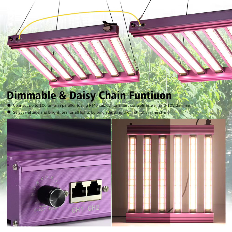 GRAXIDEA LED-Pflanzenlampe Vollspektrum in Schwarz, dimmbar mit Daisy-Chain-Funktion und integriertem Netzteil für Indoor-Gärtnerei - Bild 7