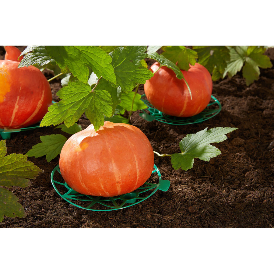 Genialo Gemüse-Reifer Green für den Gemüsegarten, 10 Stück - Bild 2