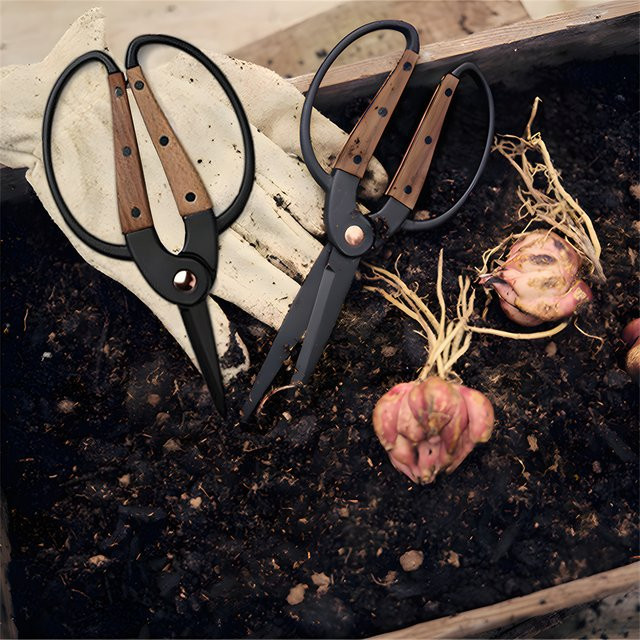 Professionelle Wurzel-Beschneiderschere aus Edelstahl in Schwarz für Bonsai, Garten und Blumen - Bild 1