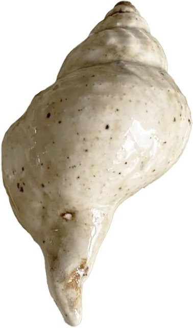 Christina Iversen Studio Deko Anhänger Shell aus Keramik in Muschelform - Bild 1