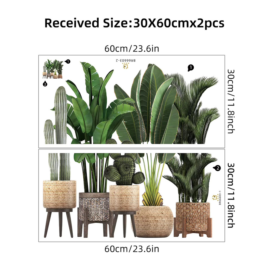 BRUP Wandaufkleber Kaktuspflanze in Grün für Wohnzimmer, Schlafzimmer und Büro als botanische Wandtattoo Dekoration - Bild 1