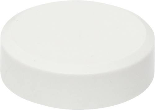 MAULpro Recycling Magnet rund mit Facetterand Weiß 20 Stück Durchmesser: 29 mm, Höhe: 11 mm - Bild 1