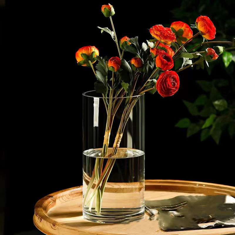 ACRDKK Glasvase für Hydrokultur und Schnittblumen, zylindrisch und transparent, Dekoration für Desktop und Schlafzimmer, B/T/H: 5,5 x 5,5 x 10 cm - Bild 2
