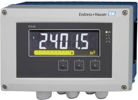 Endress+Hauser RIA46-B1D2A Sensoranzeige in Grau - Bild 1