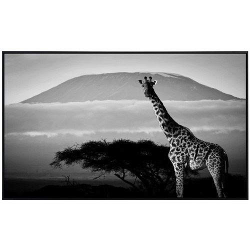 papermoon EcoHeat Infrarotheizung Giraffe mit Landschaft in Bunt mit Matt-Effekt, App-Steuerung und Überhitzungsschutz - Bild 2