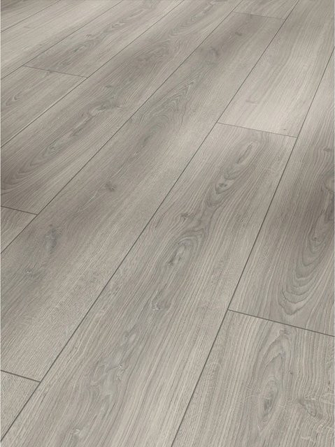 Parador Trendtime 6 Wasserfestes Laminat Eiche Studioline Grau 8 mm Dicke, Länge: 220 cm - Bild 1