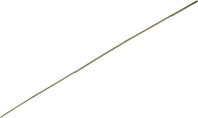 Bambusstab in Beige mit einer Länge von 180 cm und einem Durchmesser von ca. 2 cm - Bild 1