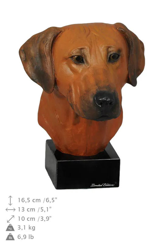 Bemalte Rhodesian Ridgeback Figur in Braun von Art-Dog aus Kunstharz - Bild 3