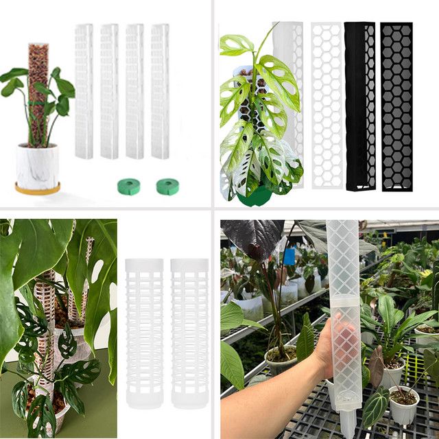 Guardian Tutors Moosstange Set mit 4 Stilen als Pflanzenständer für Indoor Kletterpflanzen und Gartenstützzubehör - Bild 1