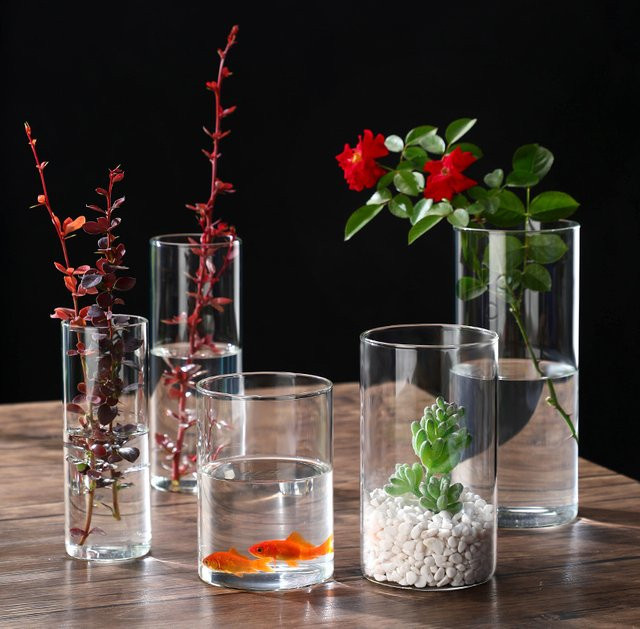 ACRDDK Glaszylindervase aus transparentem Glas für Hydrokulturen, Blumenvase und Kerzenhalter in minimalistischem Design - Bild 1