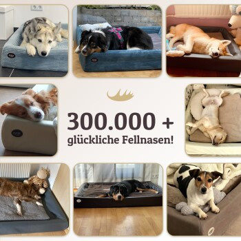 SABRO Hundebett KUDDE aus Kunstleder in Grau mit orthopädischem Schaumstoff und abnehmbarem Bezug, B/T/H: 120 x 100 cm - Bild 3