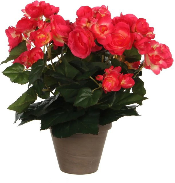 Kunstblume Begonia von Mica Decorations in Rosa, Höhe: 30 cm, Breite: 25 cm, Topf-Durchmesser: 11,5 cm - Bild 1