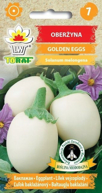 Toraf Auberginen Blumensamen Gouden Eieren Gemüsesamen - Bild 1