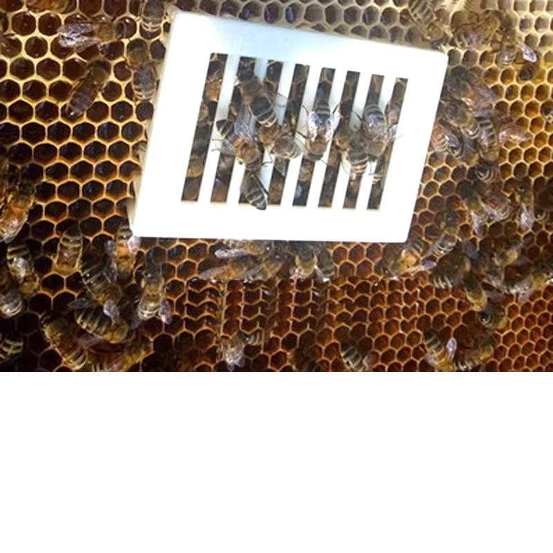 6 Stück Bienenköniginnen-Käfige aus Kunststoff in Weiß für die Imkerei-Aufzucht von Adhere To Fly - Bild 5