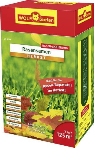 WOLF-Garten Rasensamen für den Herbst, 125 g - Bild 1