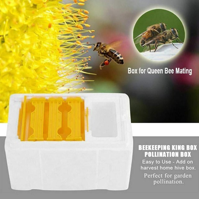 Imkerei Box aus Kunststoff für die Bienenzucht und Bestäubung - Bild 1